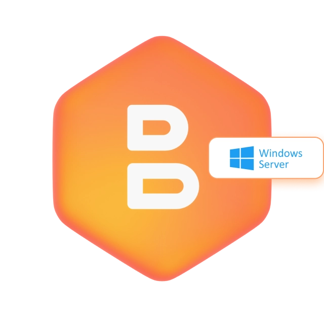 Windows Server Backup Software