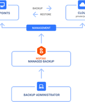 backup scheme