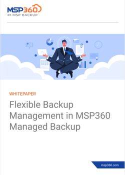 Flexible Backup Management in MSP360 Managed Backup Software