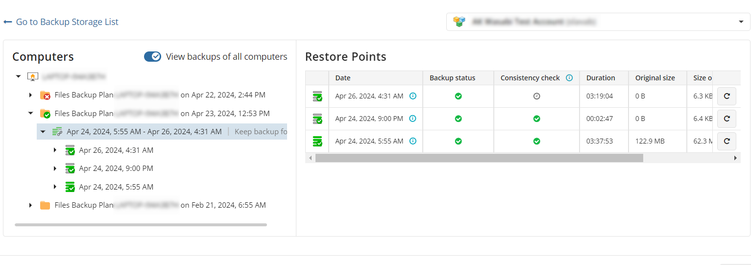 Backup Storage Browser